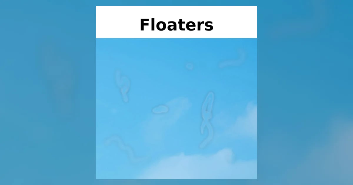 Guilda Floaters Eye Floaters & Flashes: When They're Normal vs an Emergency | Hashemi ...