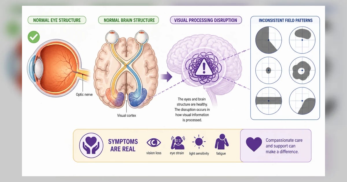 Visual Function Damage Functional Vision Loss: When Tests Are Normal but Symptoms Are Real ...